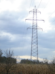 Transmission lines, substations, low-voltage networks, power cable lines, optic cable lines , aerial poles